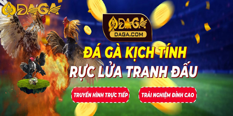 Rút Tiền Daga - Nhận Thưởng Cá Cược Ngay Trong Tích Tắc